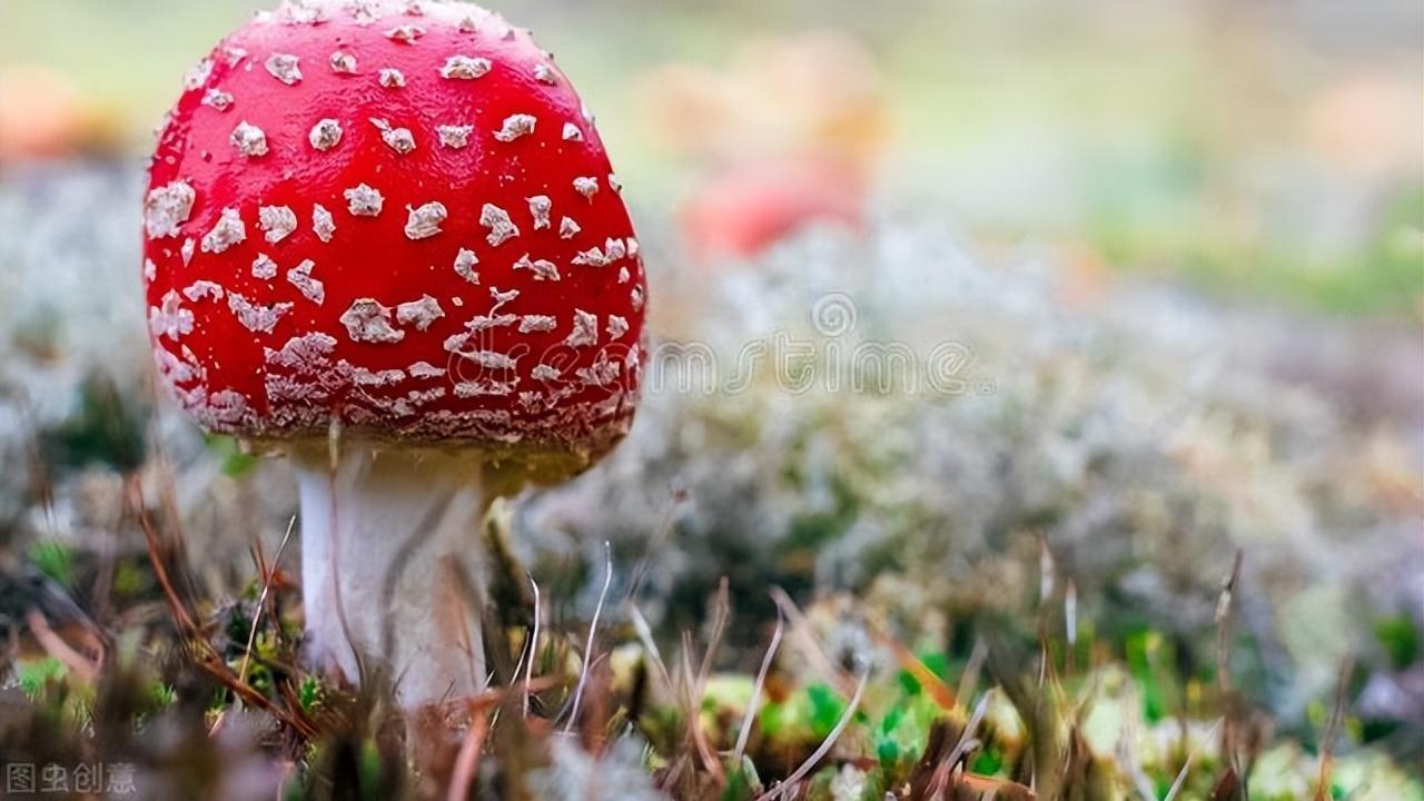 职业教育|“你长得像贼”，某公司这样贬低求职者，就业歧视就像毒瘤一样