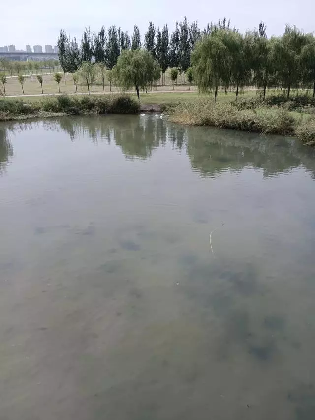 纸质书的售价让人望而却步