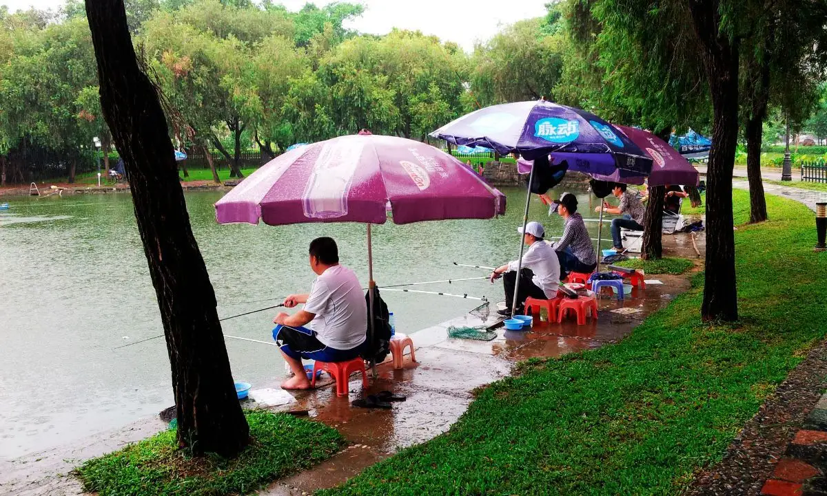 |夏季野钓打窝，解决这几个小细节，渔获至少能翻一倍