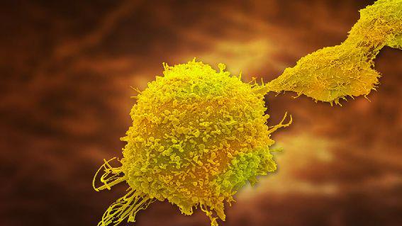 NK细胞疗法：防癌、抗癌中必不可少的利器！