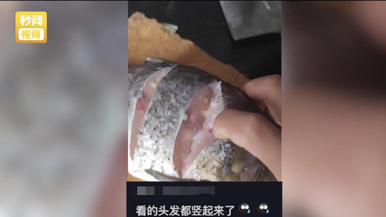 河北一女子在菜市场买鱼回家改刀后却发现鱼身有脓水
