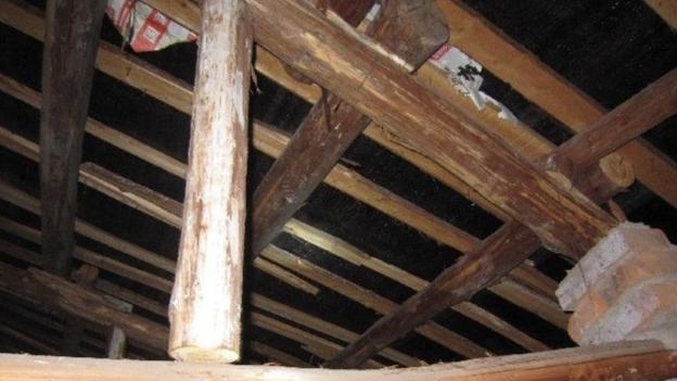 许敏偷了孩子仍查真相胆真大！老杜孩子被偷不敢查真相胆太小！