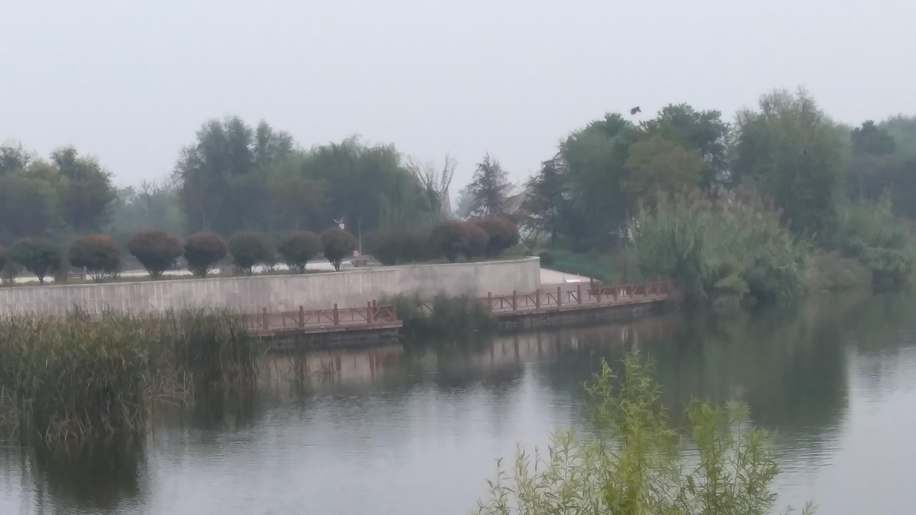 自媒体|网络平台需要对所谓自媒体进行“大刀阔斧”式改革！