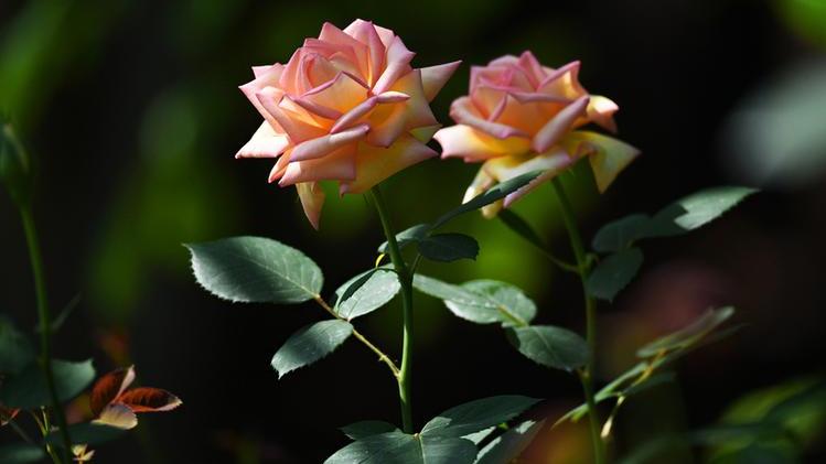 运势|一个人难有出息的三种表现，愿你一个也没有