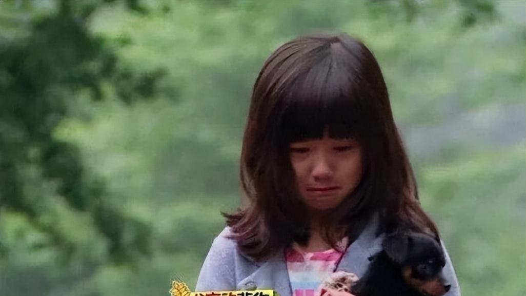 染发 黄磊女儿再次翻车？打耳钉染发、早恋不合群，开放式教育悔死了？