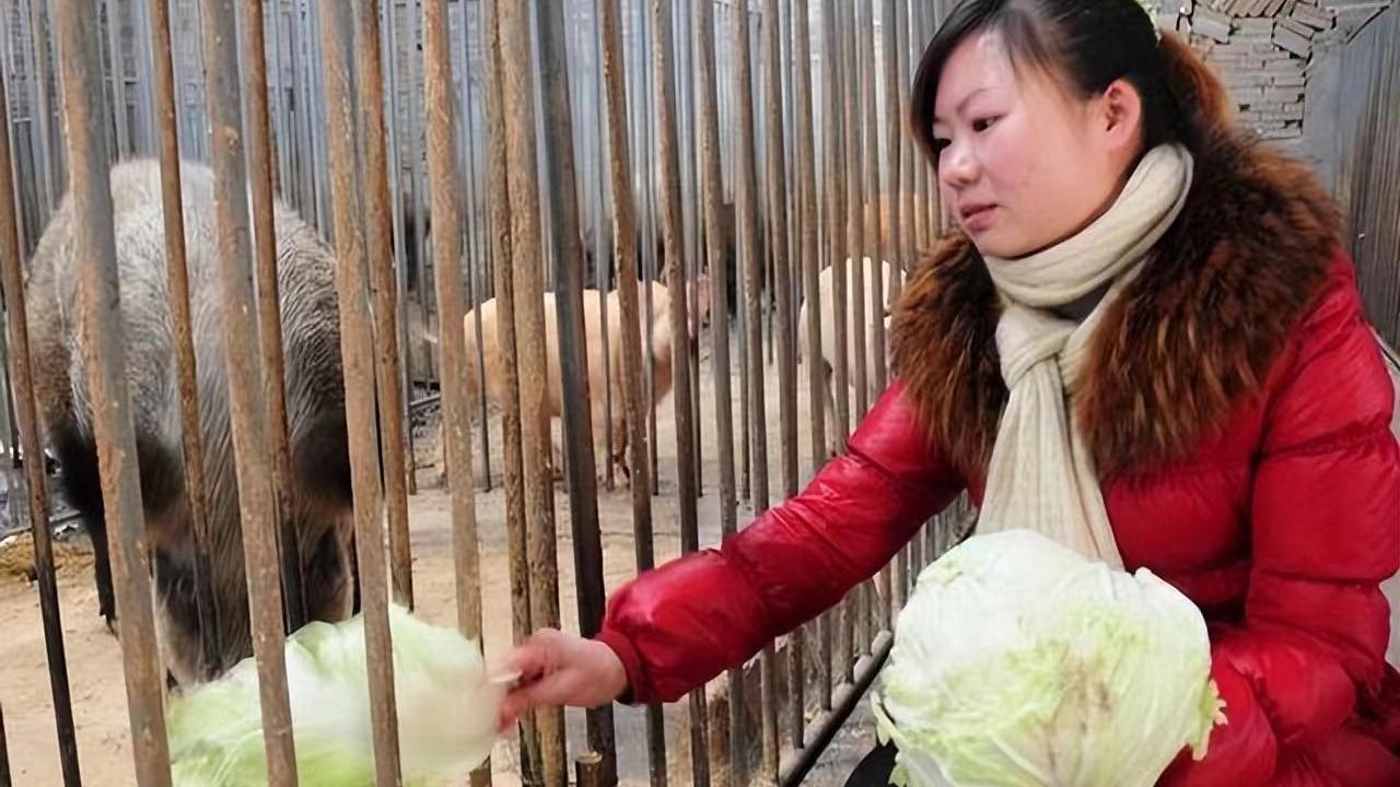女子带200万嫁妆钱嫁给穷小伙，父母恼羞成怒，扬言要断绝关系