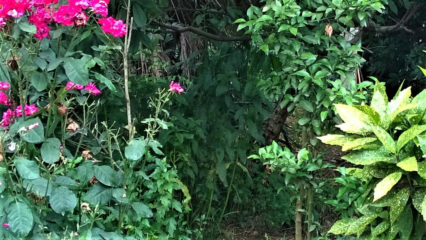 |真正想做的事，找到了吗？