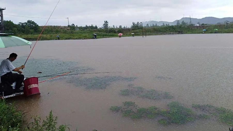 钓鱼指南|7月钓鱼指南：牢记4大“要素”，一钓一个准，渔获翻倍更有保证