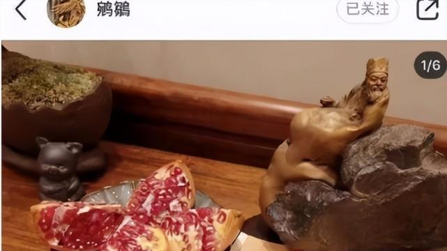 杜星霖|杜星霖否认转移财产！曾2年取卵70颗，还给张纪中研究长寿之法