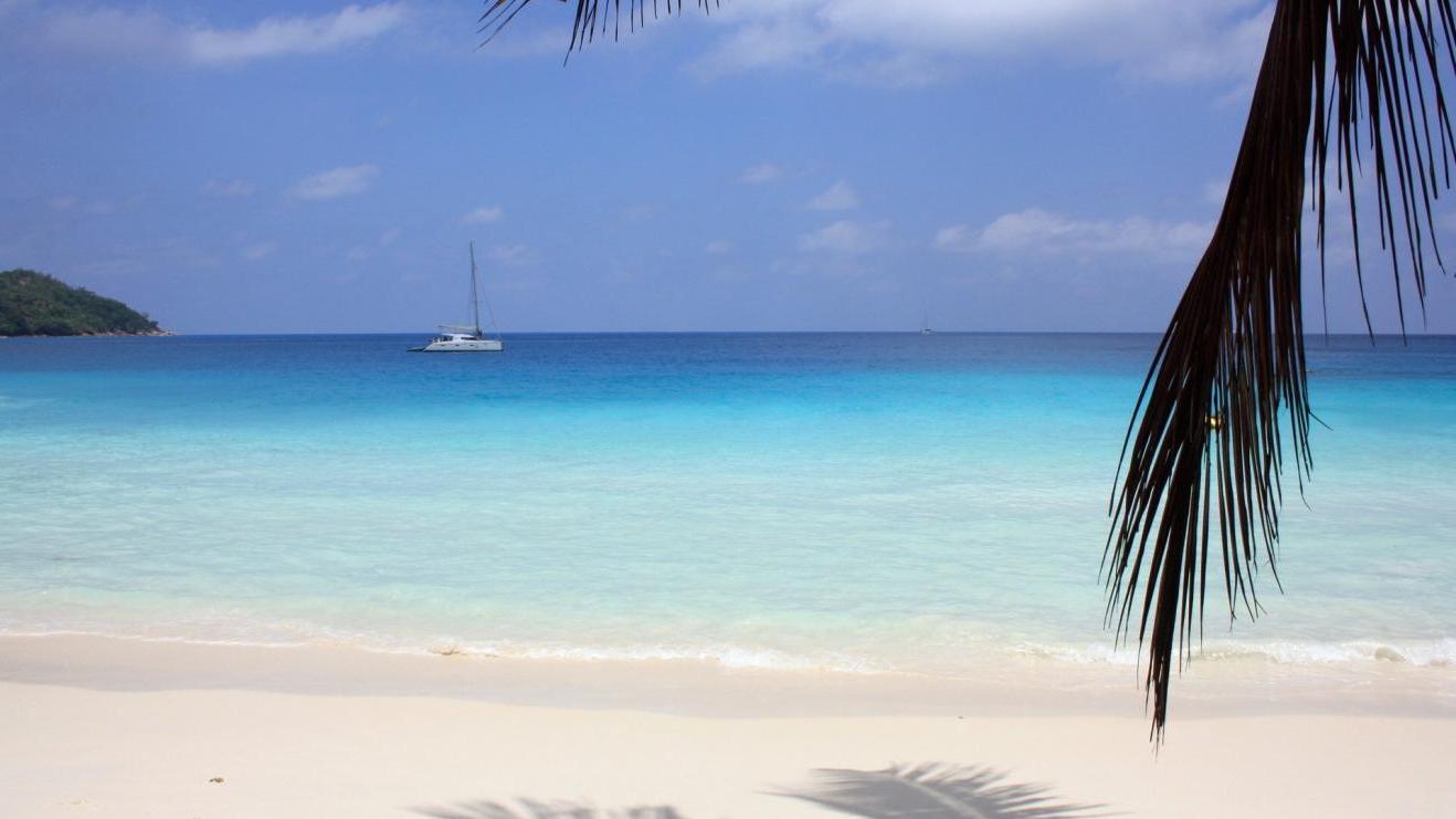 |遇到上司训斥，该如何应对？