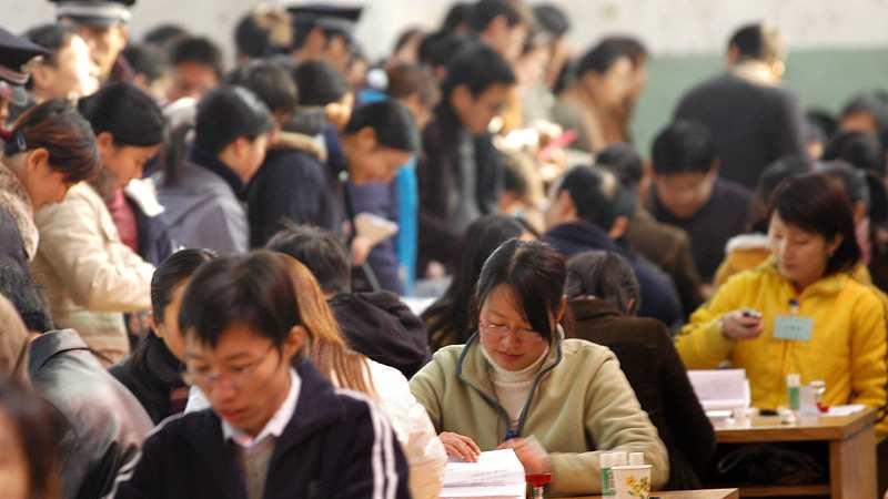 考试|哪个专业是公务员各个部门最想要的？这两种类型都很受欢迎！