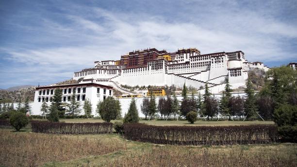 大理|为了满足更多藏族同胞的需求，曾经付出了巨大的努力