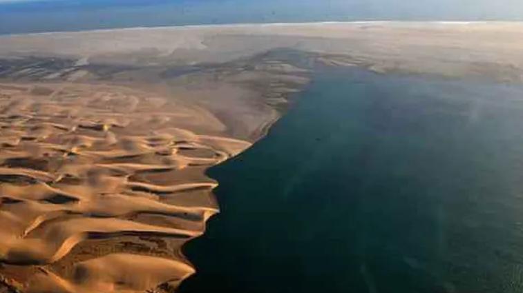 海口|把海水引入沙漠，能得到一片绿洲吗？外国实践效果超乎想象！