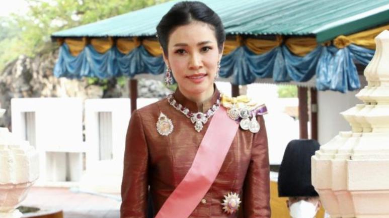 诗妮娜|51岁西拉米注定重回后宫，诗妮娜隐退用意深远，双美组合腾出空位