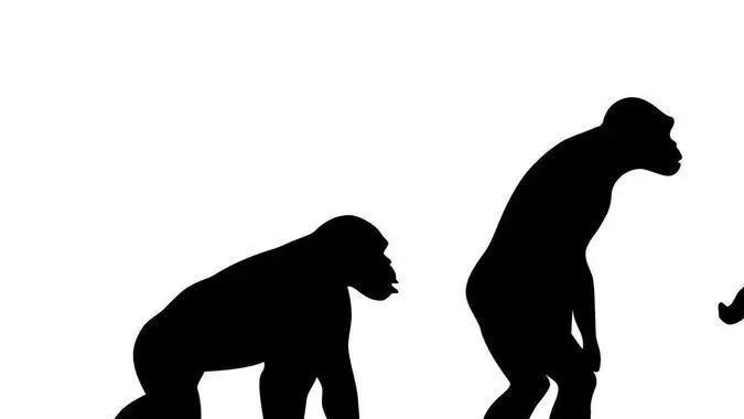 独居者是人类的进化吗？未来还会有更多一人户吗？