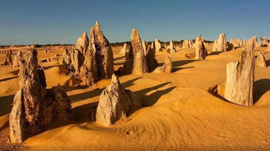 澳大利亚|岩塔林立的沙漠被称作“荒野的墓标”——澳大利亚岩塔沙漠