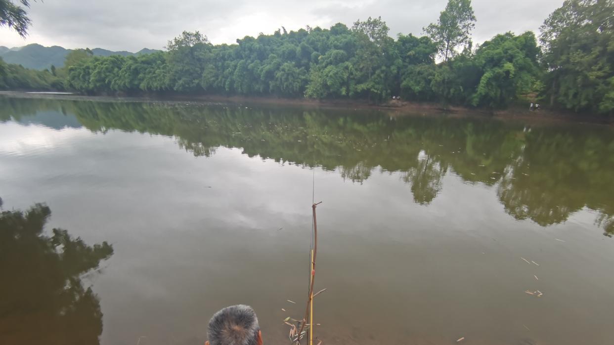 饵料|秋季钓鱼，连这点知识都不懂！怎能算一个合格的钓鱼人？