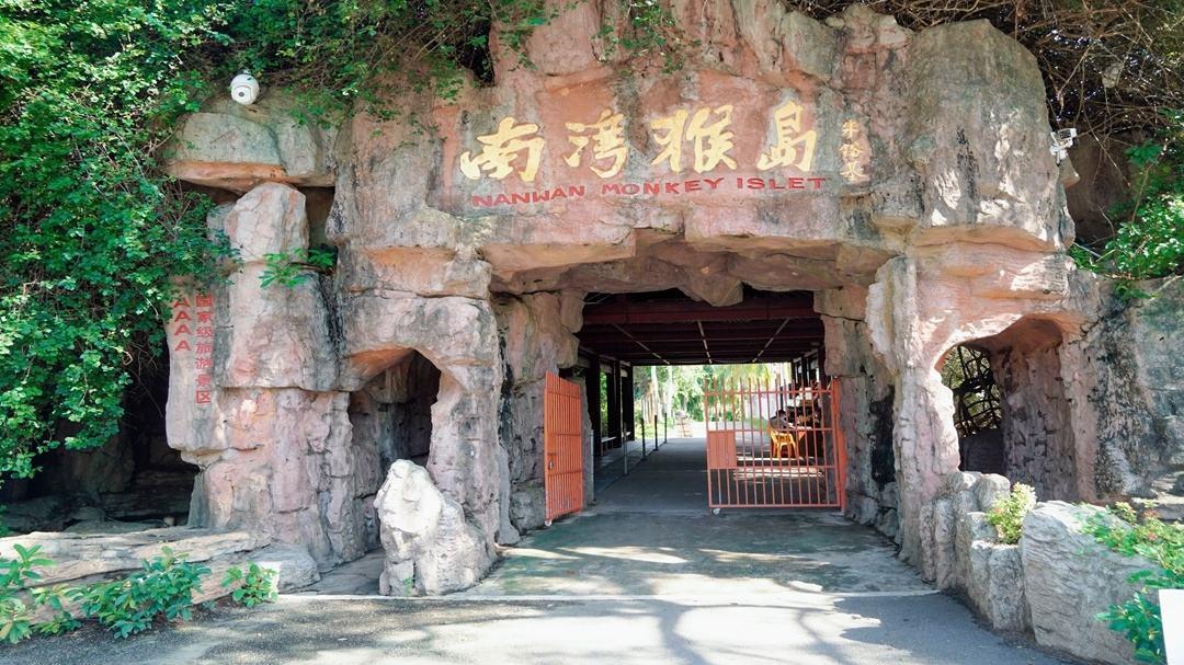|想了解一下猴子吗，来看看南湾猴岛吧，保证你会大吃一惊
