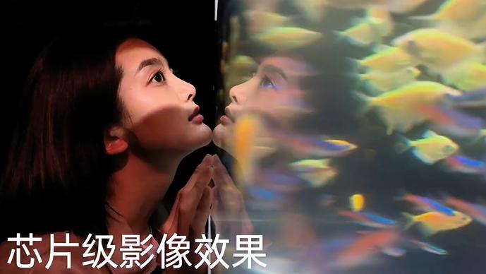 索尼xperia 1 iv|OPPO Reno8系列发布会都有哪些看点？别眨眼，带你沉浸式预热一下