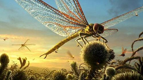 科学家发现，蜜蜂飞行违背自然规律，理论上不可能飞起来