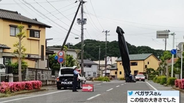 高过两层楼？日本突现神秘巨型黑色物体！究竟是何物？为何引担忧