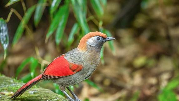 |在职场，真正聪明的人，往往具备九大生存“心计”，懂得保护自己