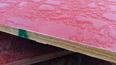 建筑模板的选择标准