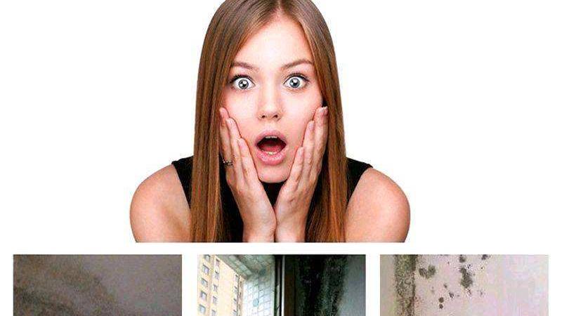 夏天一到，家里墙面霉菌“疯狂”生长？教你小妙招，霉斑自动消失