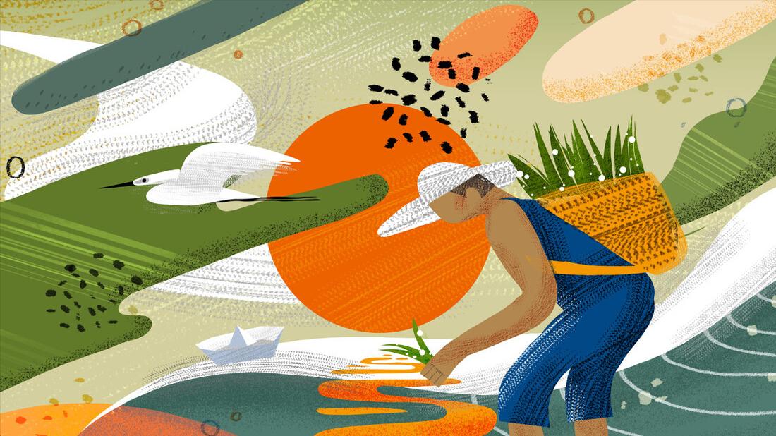 “芒种吃3宝，仲夏无病扰”，五月初八芒种，“3宝”怎么吃？