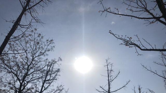 2022年冬季寒冷天气“时间表”，老祖宗的经验总结，早看早知道！