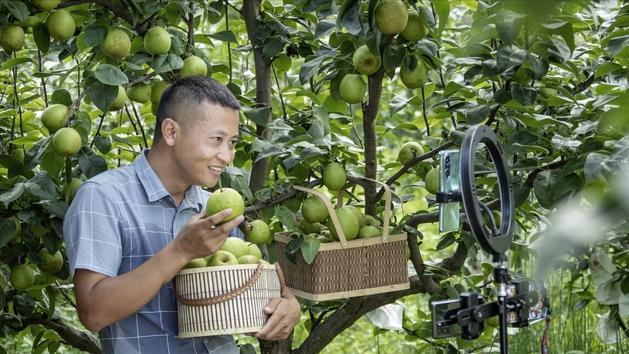 董宇辉|怼天怼地怼空气，辛巴怼董宇辉的底层逻辑是什么？