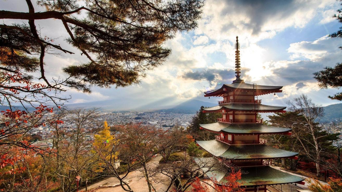 廊坊|换工作不是“不适合”的结果