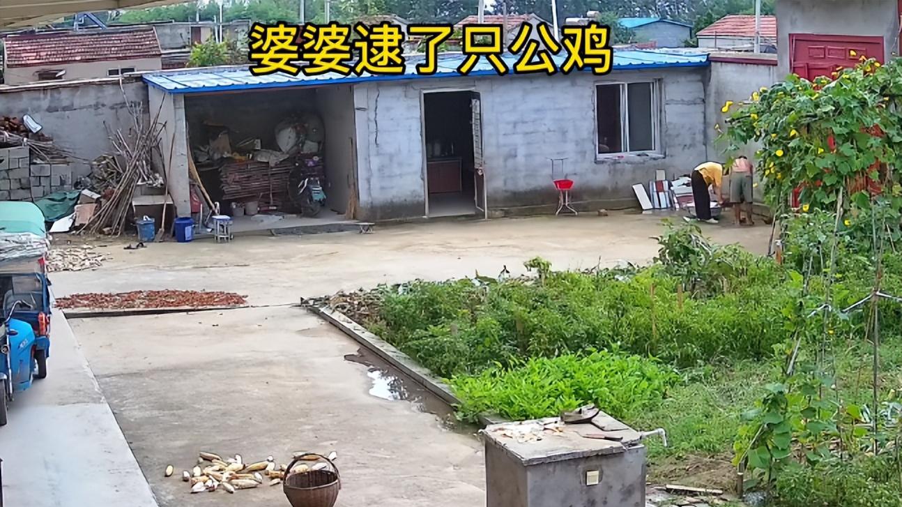 江苏连云港：为迎接儿子儿媳和3个孙女回家，公婆高温下忙碌5小时