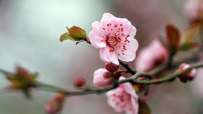 |普通人翻不了身