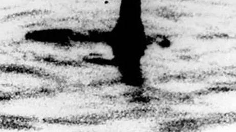 景区未对喀纳斯湖“水怪”进行调查：此有专家猜测真身系哲罗鲑鱼