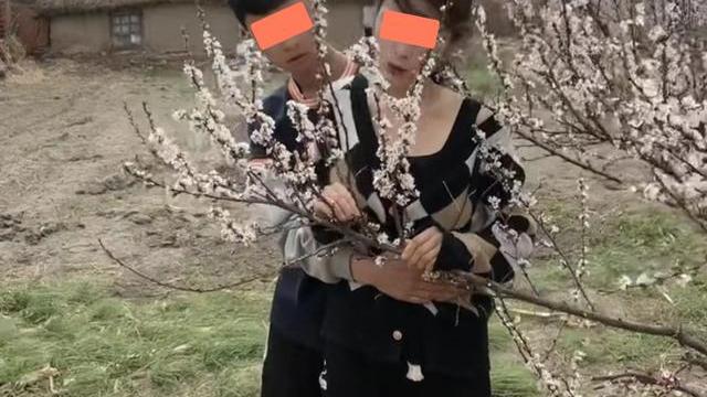 男子要外出打工，可是女友却不愿同行，两人在桃树下告别