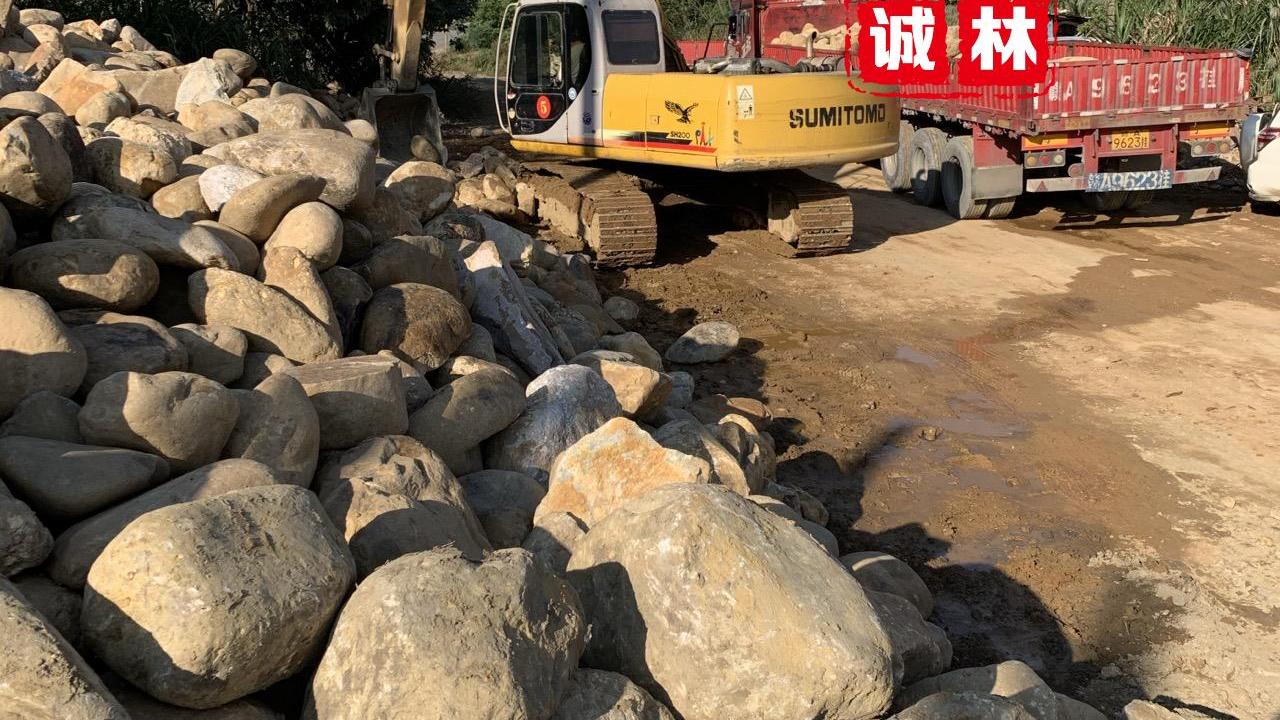 鹅卵石用在现代风格的花园中创意景观石材