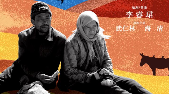 隐入尘烟|电影人：《隐入尘烟》很好，但我不会拍！