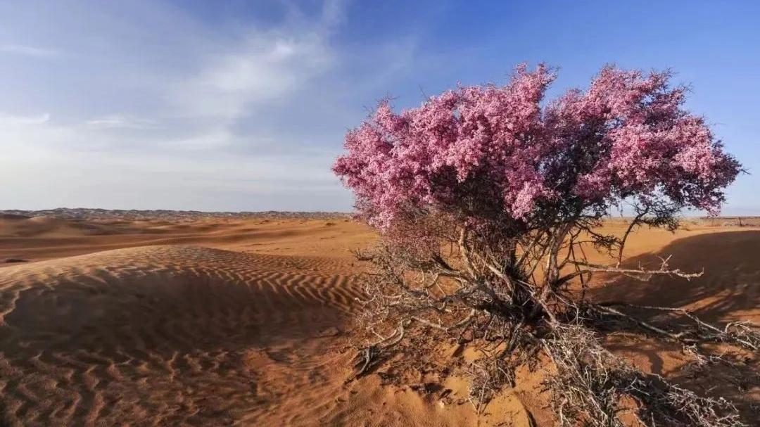 关于供桌风水的一些注意事项