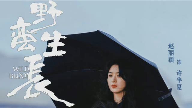 赵丽颖|狠人赵丽颖火爆全网：跑了6年龙套后，她把自己活成了一个传奇