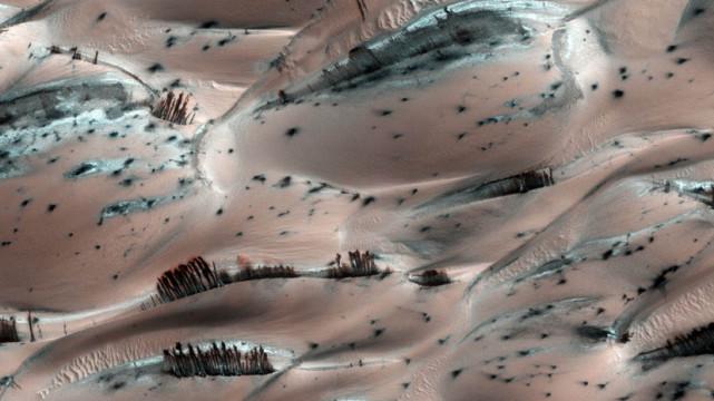 火星沙丘惊现“黑树林”“火星生命”新证据？NASA拍摄到火星上有森林和灌木丛？