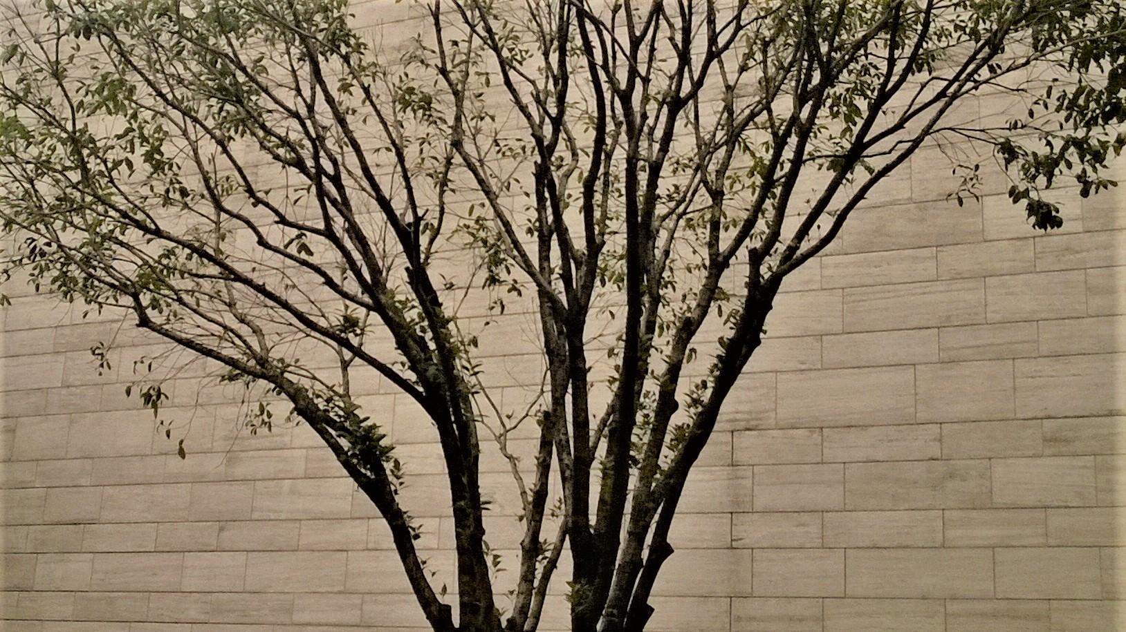 成都|解决职场冲突，关键看自己