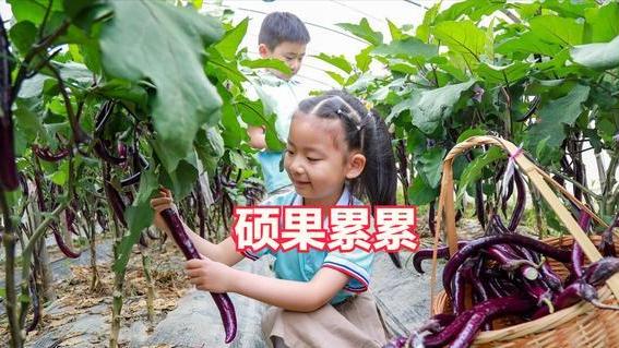 江苏女子花500元租了一块地，半年后硕果累累，网友：太值了