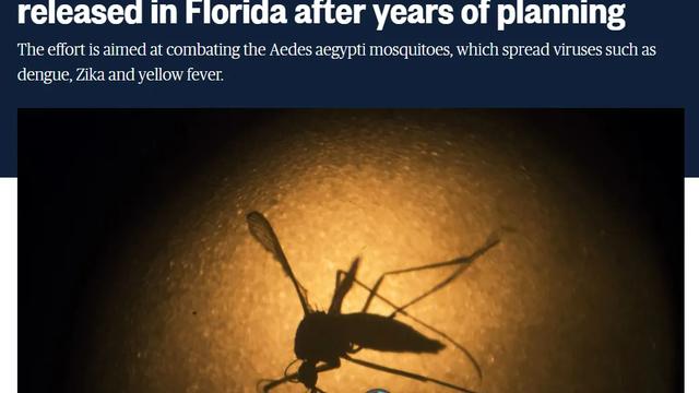 不顾反对！美国将放出24亿只转基因蚊子，有什么目的？