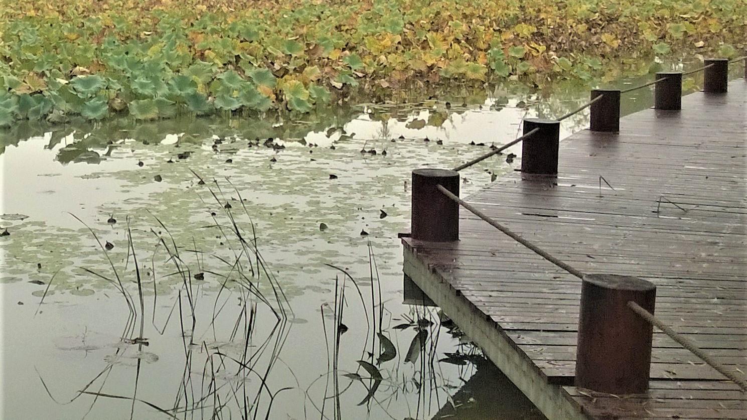 |换到那里，你未必做得更好