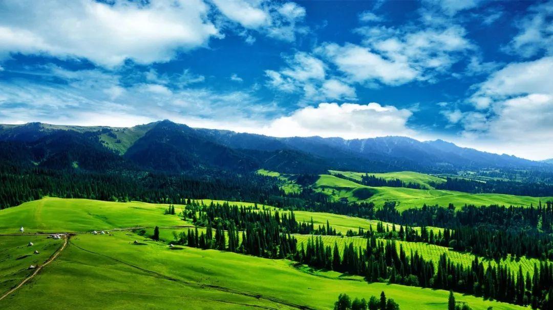 新疆维吾尔自治区|总有一个地方让你魂牵梦绕，这辈子怎么也得去一次吧~