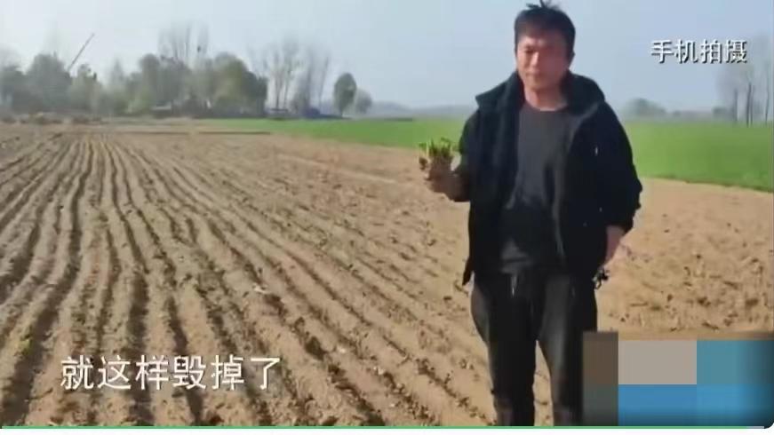 ?曹县被曝货车通行不畅致蔬菜滞销！回应称已联系商超对接菜农！