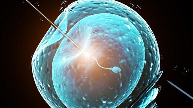 新发现：人类卵子会对精子进行隐蔽选择，给自己喜欢的精子开后门