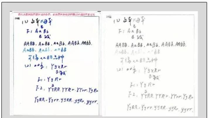 招聘|当“奶酪字体”遇上电脑阅卷，仿佛二维码成精，阅卷老师想给0分