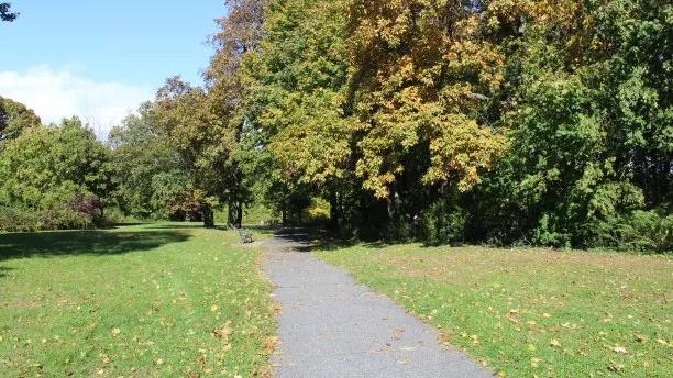 寡妇花半天给女儿修好家具，半天给女儿修好家具，父母很着急